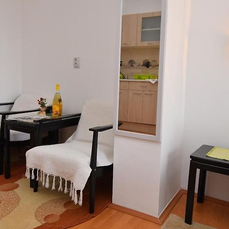 Apartments Dusica Tekija - Djerdap National Park Room photo